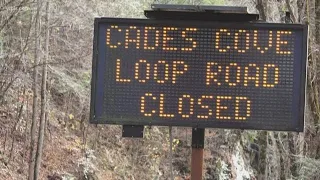 Cades Cove closing over next two weeks for tree work
