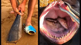 Catching Seafood 🦑🦀 Deep Sea Octopus (Catch Crab, Catch Fish) - Tik Tok #1