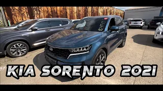 KIA Sorento, Palisade, Santa Fe. Отправка новых авто в Россию + цены #автоизкореи #hyt_trading #car