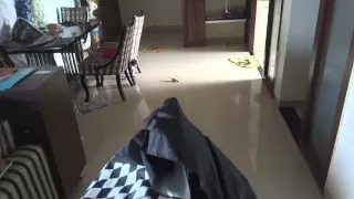 PUG gets scared of UMBRELLA Starts SHITTING!