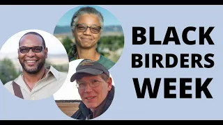 Black Birders Week Discussion with Gillian Bowser, Drew Lanham, & Scott Weidensaul
