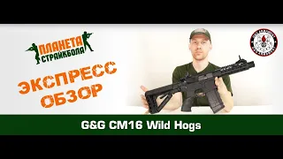 Обзор CM16 Wild Hog от G&G