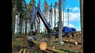 🌲 Rottne H21-D 8WD *Onboard-VIEW* • Harvester in Action • The biggest Harvester • Holz-Winter🌲