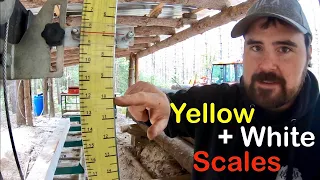 How to Use the Woodland Mills Sawmill Scales