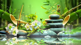 Relaxing Music with Nature Sounds 🎵 Water Fountain and Bird Chirping for Deep Sleep, Spa Music