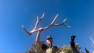 LATE NOVEMBER/ EARLY DECEMBER ELK SHEDS || SHEDICATED OUTDOORS