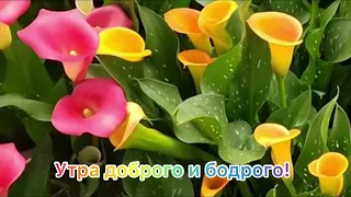 С🎈🦋добрым🍰☕️утром☀️и🥰хорошего🎁дня!💐