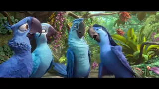 Rio 2 música (você chegou)