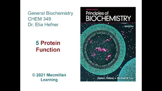 Chapter 5 - Protein Function (Sections 5.1 & 5.2)