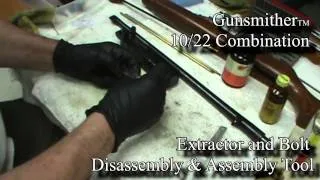 A Ruger 10/22 Gun Cleaning Conversation