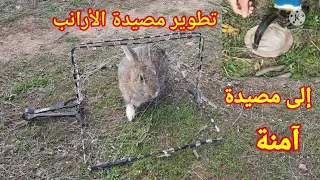 تطوير مصيدة الأرانب من مصيدة مؤدية إلى مصيدة أمنة. Développé un piégé à lapins.