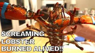 GRAPHIC: SCREAMING LOBSTERS, BOILED AND BURNED ALIVE (HOW TO COOK PREPARE LIVE LOBSTER)