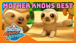Octonauts: Above & Beyond - 🌸 Mother Knows Best 🍲 | Compilation | @Octonauts​