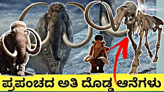 ಪ್ರಪಂಚದ ಅತಿ ದೊಡ್ಡ ಮಹಾಗಜ | Mammoth Site & Museum Hot Springs, South Dakota Black Hills  Kannada Vlogs