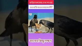 বাড়িতে কাকের দেখা পাওয়া শ্তভ না অশ্তভ? | কাক বাকলে কী হয়? | কাকের কিছু অজানা তথ্য | Crow