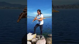 Despacito - Live Song / Video Vertical ( Andean ) for Carlos Salazar