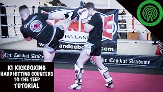 K1 Kickboxing Hard Hitting Counters to the Teep Tutorial