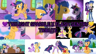 Twilight Sparkle X Flash Sentry Tribute (Happy Valentine Day Special 2)