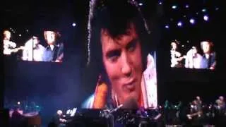 Elvis Presley in concert 2013 (Brazil,BH) - I'll Remember You