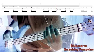 Rhinoceros by Smashing Pumpkins - Bass Cover with Tabs Play-Along