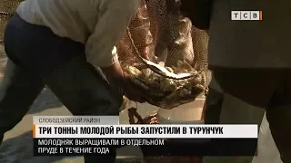 Три тонны молодой рыбы запустили в Турунчук