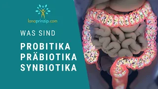 Probiotika, Präbiotika und Synbiotika: Was ist er Unterschied und wo sind sie enthalten?