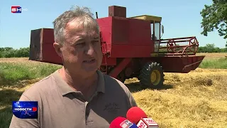 Brčanski poljoprivrednici završili žetvu ječma, u toku je žetva pšenice (BN TV 2022) HD