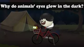 Why do animals eyes glow in the dark? | #aumsum #kids #science #education #children