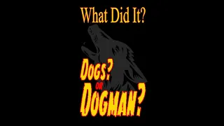 What Got Him?  Dogs?  Or Dogman?