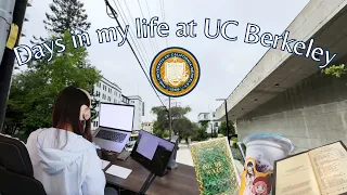 UC Berkeley Vlog 🐻 UC 버클리 브이로그 - Days at UC BERKELEY