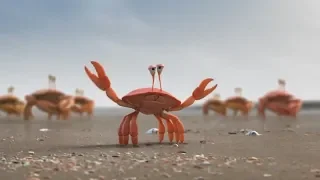 Funny Commercial crabs & albatross