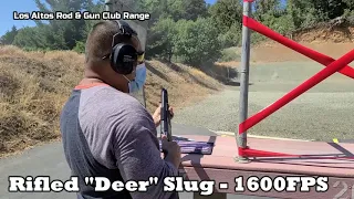 Stoeger Double Defense Range Day