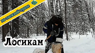 Охота. Подкормка животных. Развез соль для лосиков.