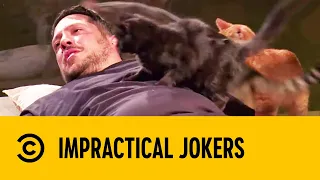 Top 5 'Sal Hates Cats' Moments | Impractical Jokers