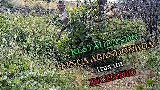 Cap. 67.1 Riego de buena mañana 🌱💧 | RESTAURANDO FINCA ABANDONADA en el MONTE tras un INCENDIO 🔥🏡🏔️