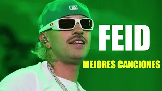 Feid Mix Exitos  2024 - LAS MEJORES CANCIONES DE Feid - Lo Mas Nuevo  2024