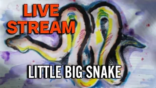 Little Big Snake |Topik Live stream 34