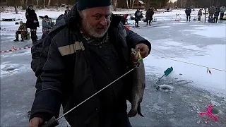 Форель перед Рождеством. Клёвое место.