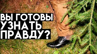 Удивительная история о загадочном трупе "Лесника". Дело раскрыто