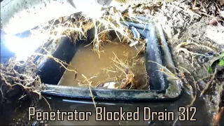 Blocked Drain 312 - Massive Palm Crushes Pipe & Tree Roots Fill The Pipe