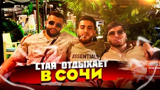 СТАЯ ОТДЫХАЕТ В СОЧИ | steel, ravshann, renatko | TWITCH