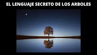 EL LENGUAJE SECRETO DE LOS ARBOLES