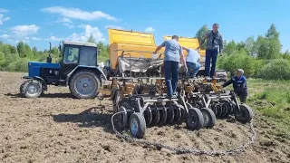 Выращивание горчицы белой в Калужской области