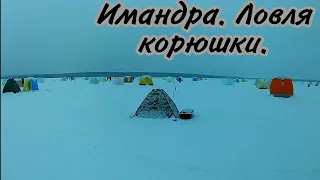 Имандра, самое большое озеро Мурманской области. Ловим корюшку.