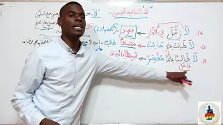 لا النافية للجنس ( اعرابها وشروطها) ثانوي + متوسط