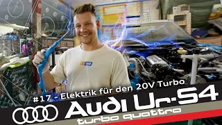 Mit Vaseline geht alles! I #17 Audi Ur-S4 20V Turbo Quattro I RD48