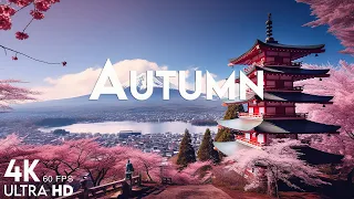 4K Autumn Forest & Relaxing Piano Music 🍂 Beautiful Fall Leaf Colors in 4K Video Ultra HD