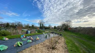 EP 29: What We Have Been Up To?!  Allotment Plot no.9