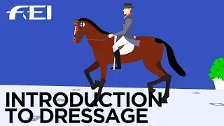 What is Equestrian Dressage? These are the rules.