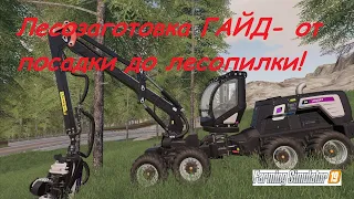 Лесозаготовка FS 19 ГАЙД | Farming Simulator 19 | От посадки до лесопилки!